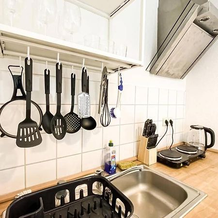 Apartment Am Auensee Mit Grosser Terrasse & Privat-Parkplatz 莱比锡 外观 照片
