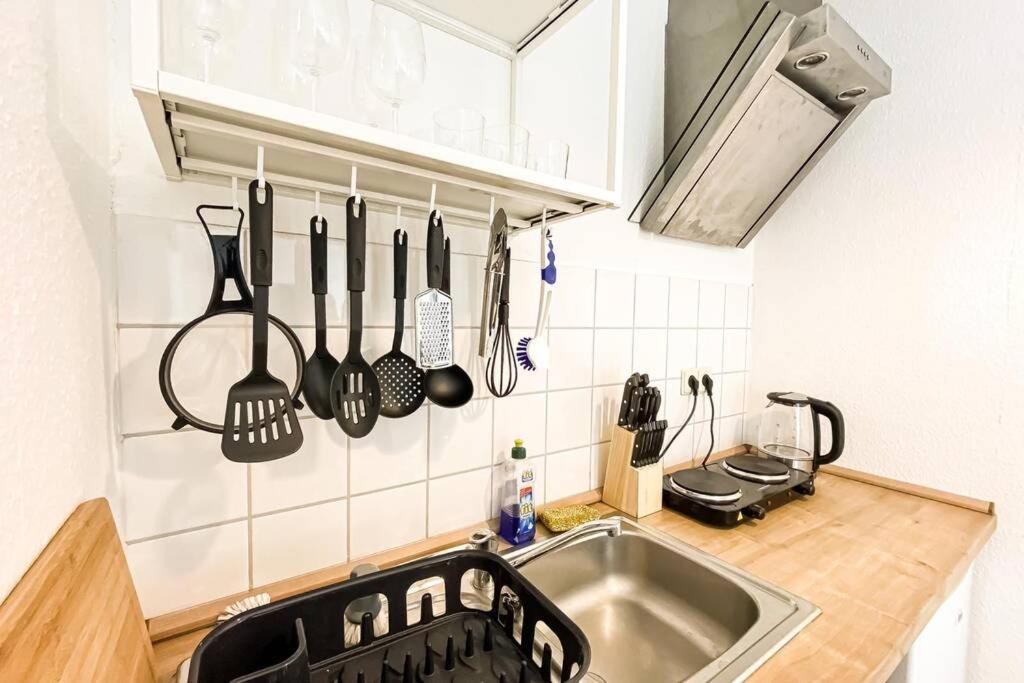 Apartment Am Auensee Mit Grosser Terrasse & Privat-Parkplatz 莱比锡 外观 照片