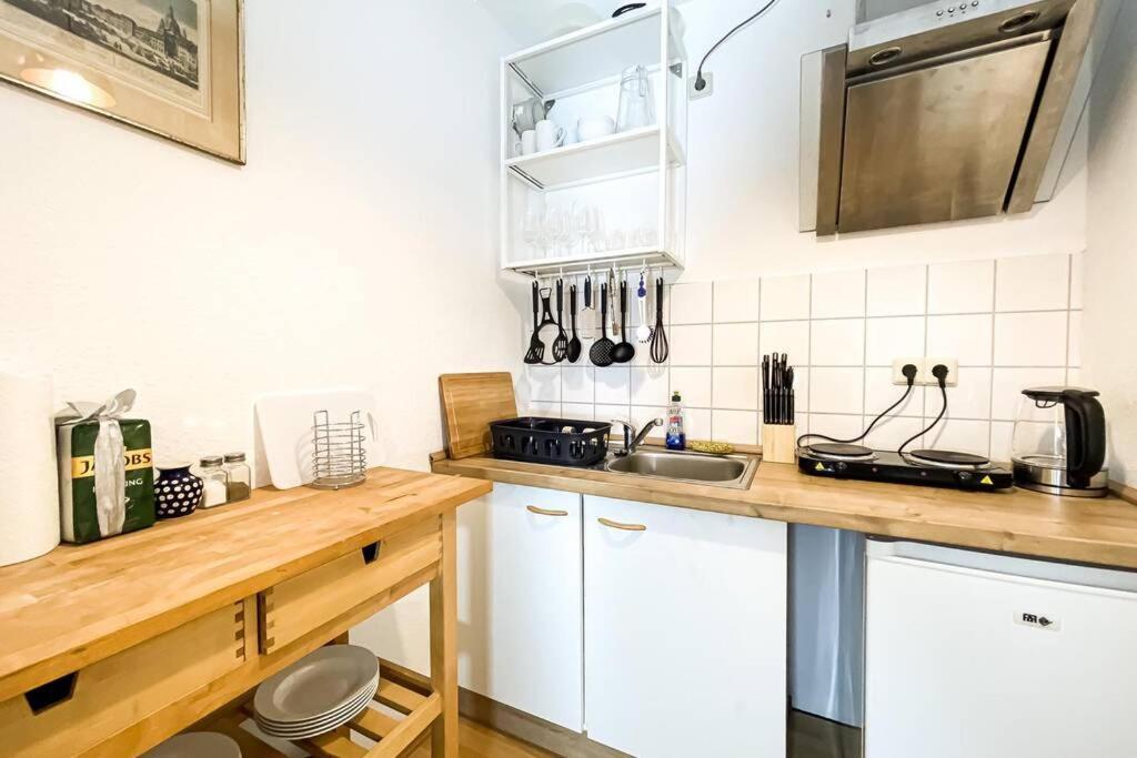 Apartment Am Auensee Mit Grosser Terrasse & Privat-Parkplatz 莱比锡 外观 照片