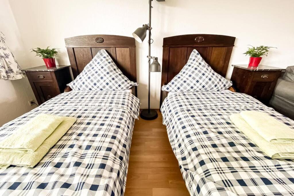 Apartment Am Auensee Mit Grosser Terrasse & Privat-Parkplatz 莱比锡 外观 照片