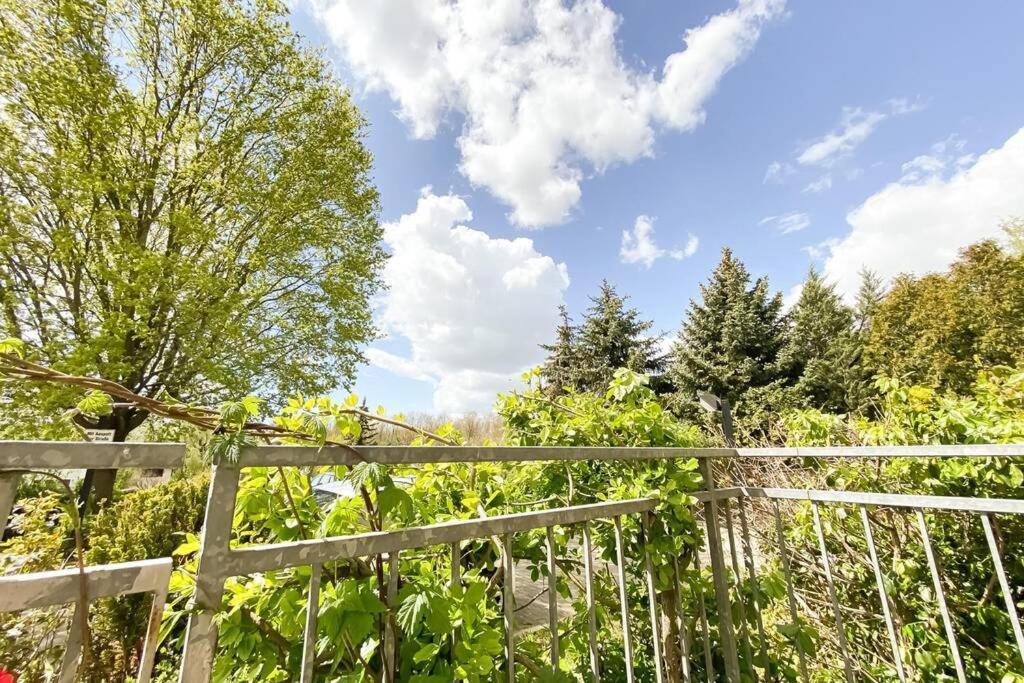 Apartment Am Auensee Mit Grosser Terrasse & Privat-Parkplatz 莱比锡 外观 照片